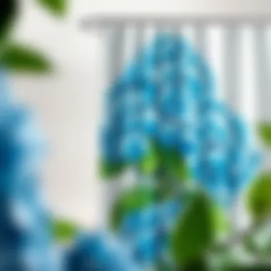 Magnificent The Allure of Blue Hydrangea Shower Curtains: A Comprehensive Guide