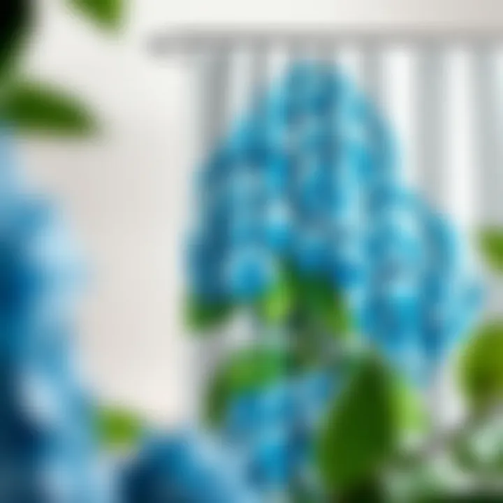 Magnificent The Allure of Blue Hydrangea Shower Curtains: A Comprehensive Guide