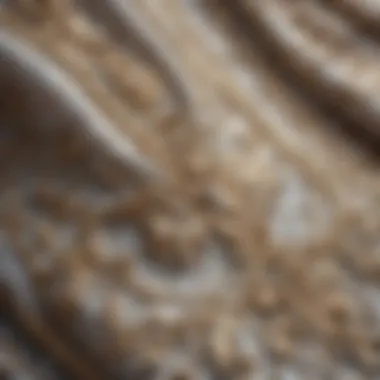 Textural Details of Baroque Motifs Close-up of fabric texture highlighting detailed Baroque motifs