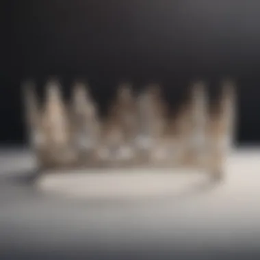 Diverse Styles of Tiara Crowns Array of diverse tiara crown styles displayed