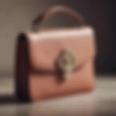 Luxurious Pocketbook Holder Elegant pocketbook holder showcasing luxurious material and design
